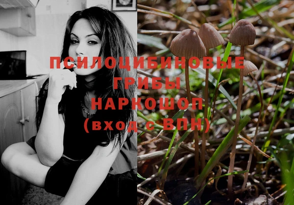 синтетический гашиш Богданович