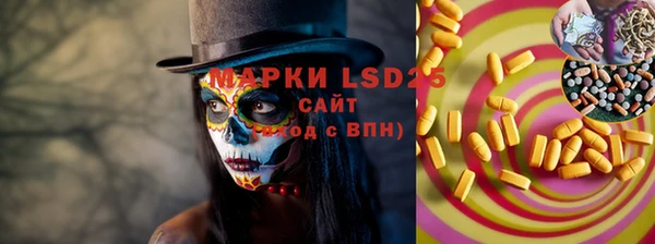 spice Богородск