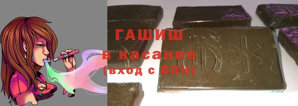 крисы Бородино