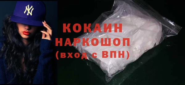 mix Богородицк