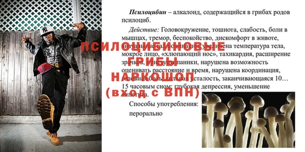 крисы Бородино