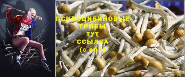 spice Богородск