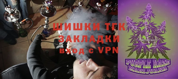 spice Богородск