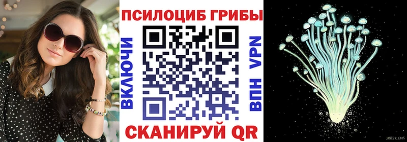 Псилоцибиновые грибы Psilocybe Берёзовка